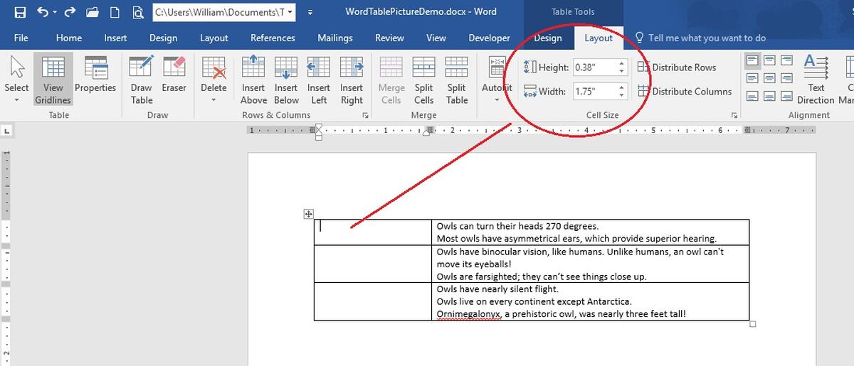 change one cell size table in word for mac